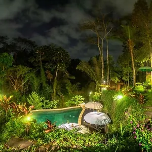 The Jungle Ubud (Bali)