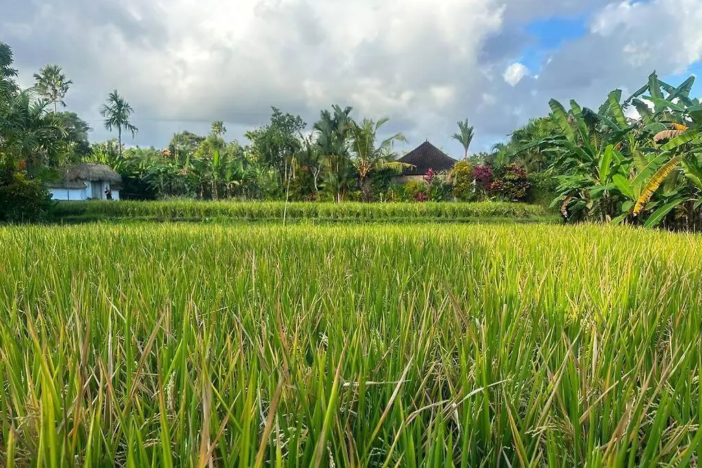 Natural And Peaceful Villa Sentosa Ubud  Indonesia